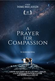 A Prayer for Compassion