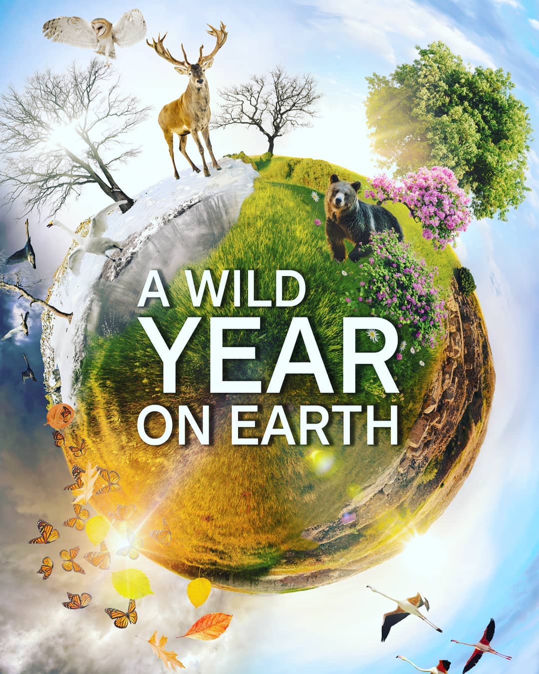 A Wild Year on Earth - Season 1