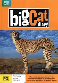 Big Cat Diary - Season 1