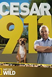 Cesar 911 season 1