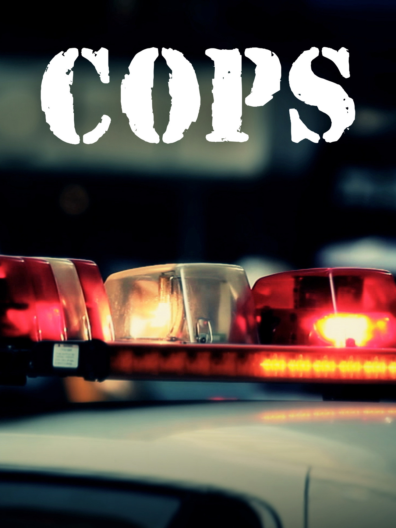  Cops - Season 31