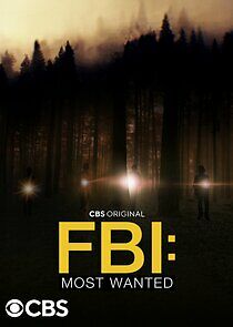 FBI: Most Wanted - Season 4