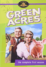 Green Acres season 4