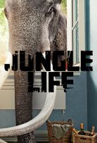 Jungle Life - Season 1