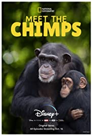 Meet the Chimps - Season 1