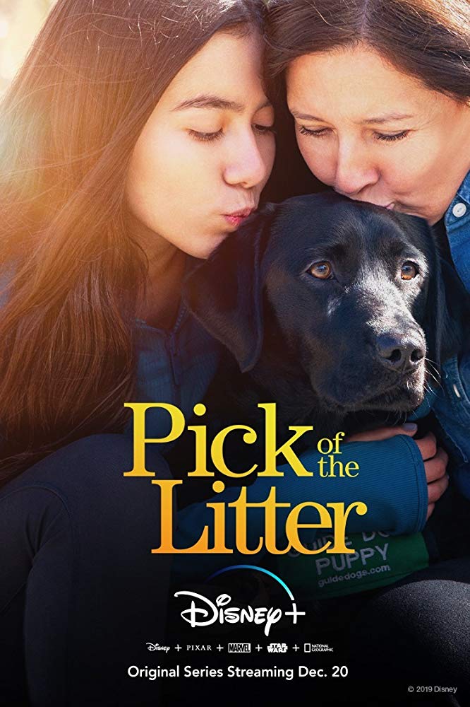 Pick of the Litter - Season 1