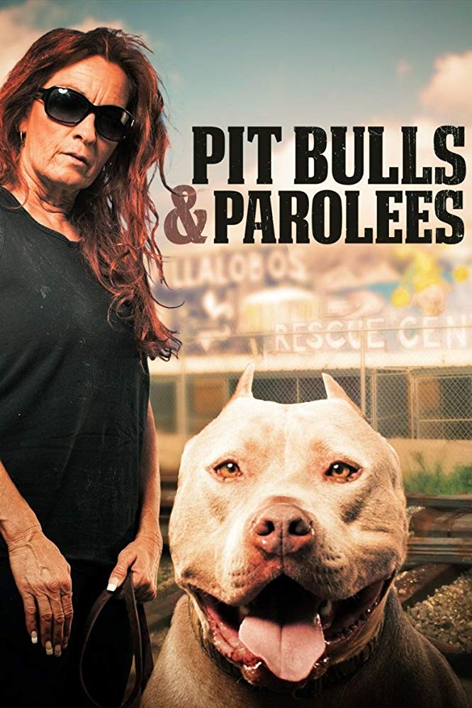 Pit Bulls and Parolees - Season 12
