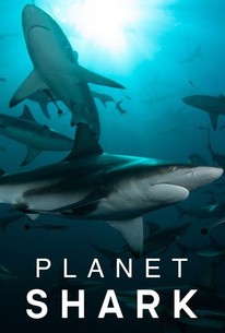 Planet Shark - Season 1