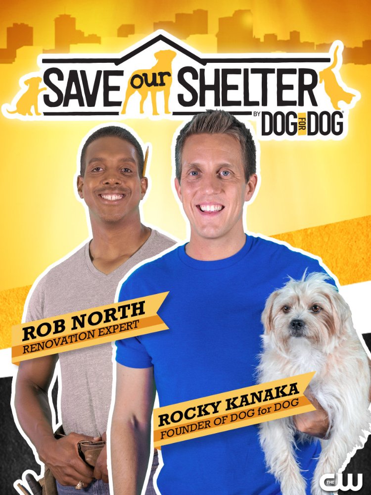Save Our Shelter - Season 2 