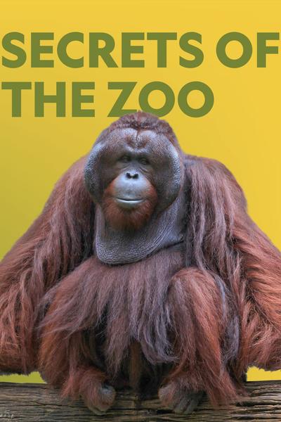 Secrets of the Zoo - Season 3