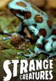 Strange Creatures - Season 2