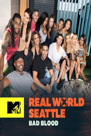 The Real World - Season 33