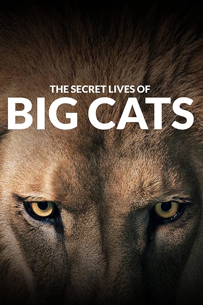 The Secret Lives Of Big Cats - Season 1