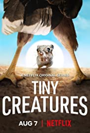 Tiny Creatures - Season 1