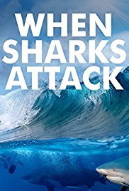 When Sharks Attack - Season 4