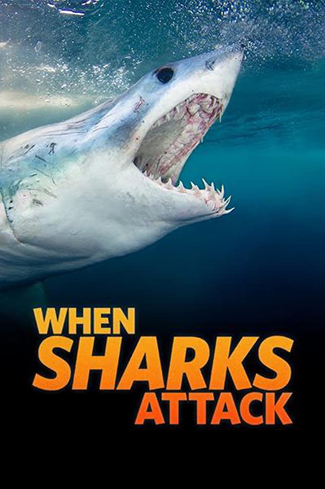 When Sharks Attack - Season 6