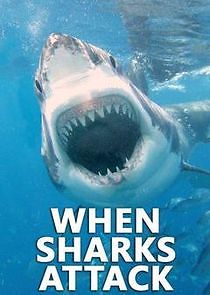 When Sharks Attack - Season 7