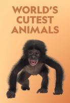 World's Cutest Animals - Season 1